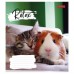 Зошит 18арк.кл."1B-766569" Relax choose
