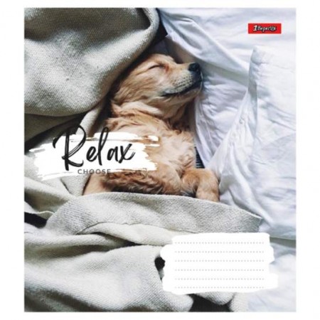 Зошит 18арк.кл."1B-766569" Relax choose