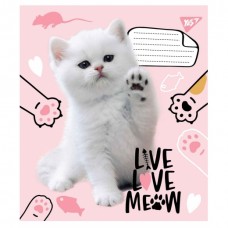 Зошит 12арк.кл."YES-765496" Live love meow