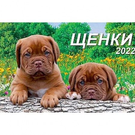 Календар настільний на спіралі