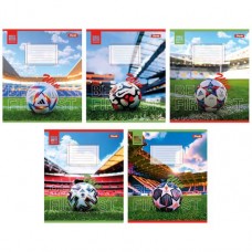 Зошит 48 кл. 1В Win, 767101