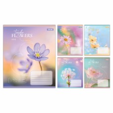 Зошит 96арк.кл. 1В Tender Flowers, 768084